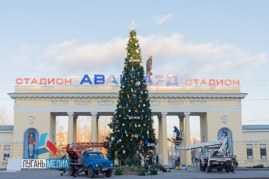 Брендированные новогодние ели и парки